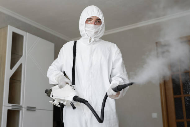 Best Emergency Mold Remediation in Plum, PA