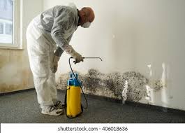 Best Mold Prevention Services in Plum, PA